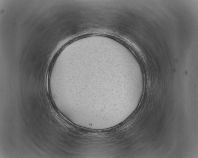 X0000081461272200702021758