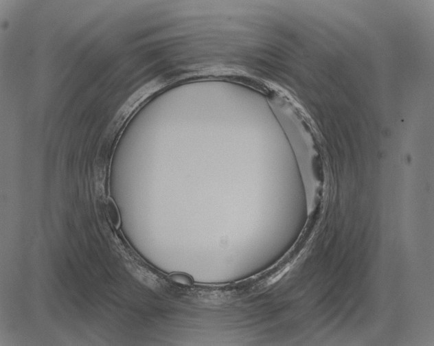 X0000081461273200702021758