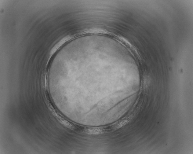 X0000081461274200702021758