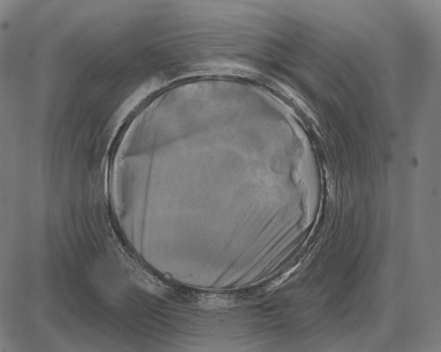 X0000081461275200702021758