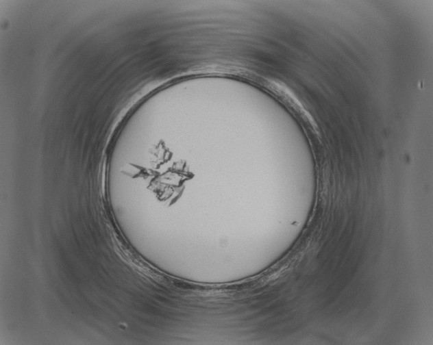 X0000081461276200702021758