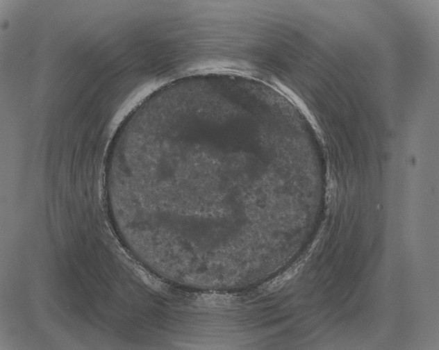 X0000081461277200702021758