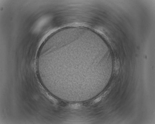 X0000081461278200702021758