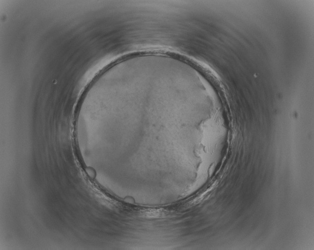 X0000081461279200702021758