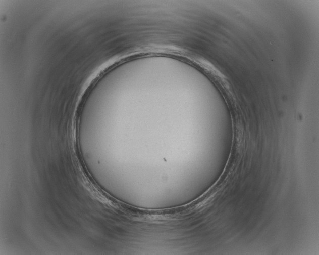 X0000081461280200702021758