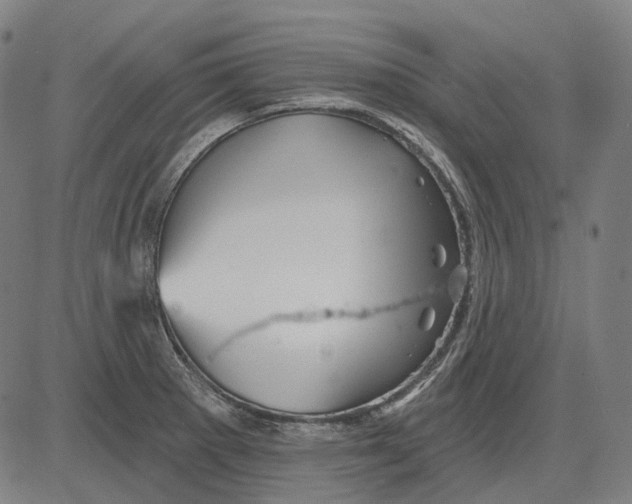 X0000081461281200702021758