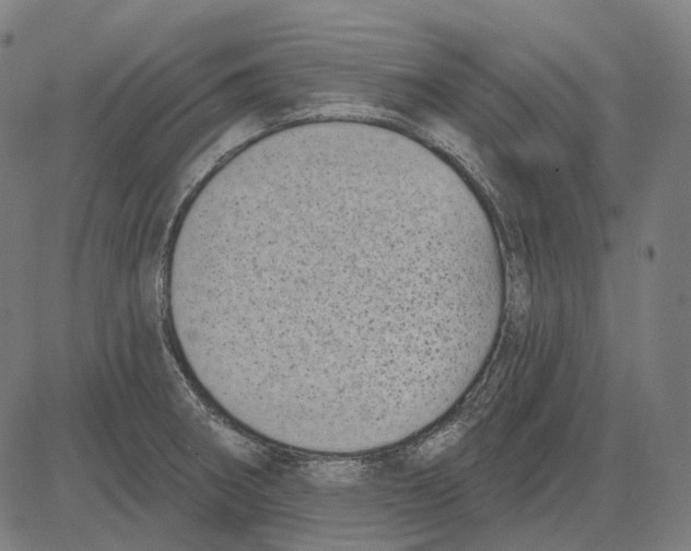 X0000081461282200702021758