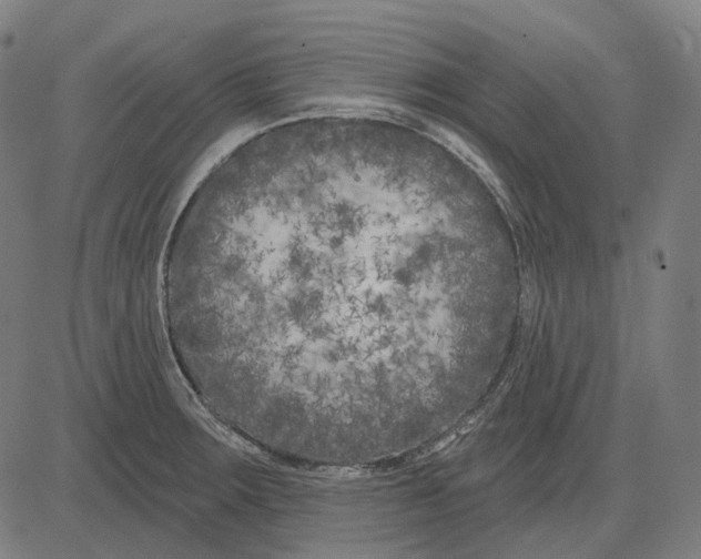 X0000081461283200702021758