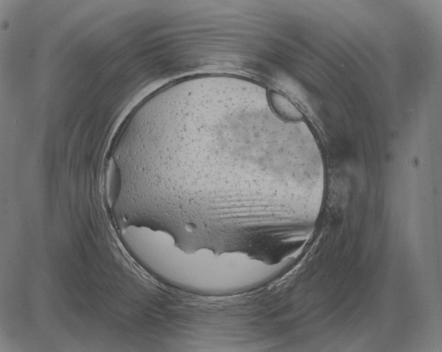 X0000081461284200702021758