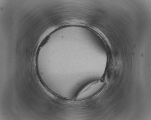 X0000081461285200702021758