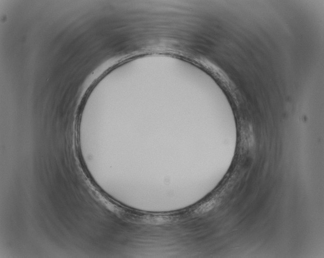 X0000081461286200702021758