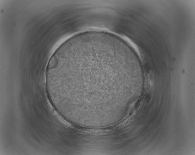 X0000081461287200702021758