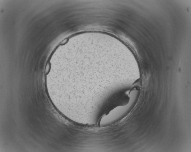 X0000081461288200702021758