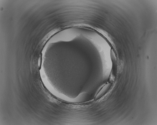 X0000081461289200702021758