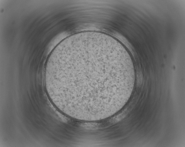 X0000081461290200702021758