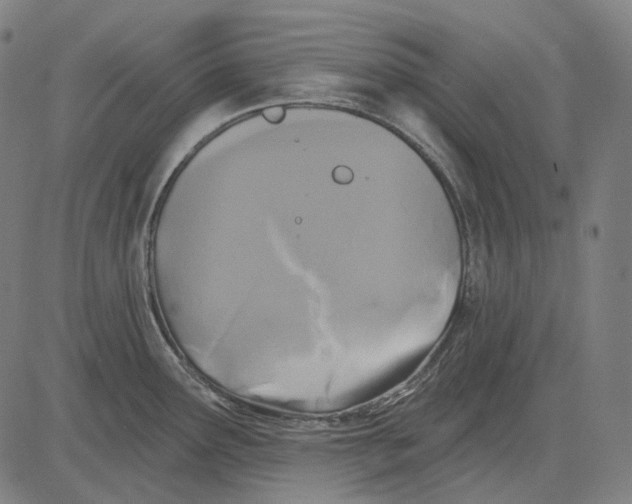 X0000081461291200702021758