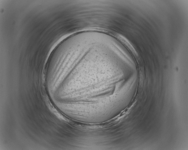 X0000081461292200702021758