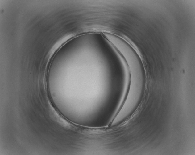 X0000081461293200702021758