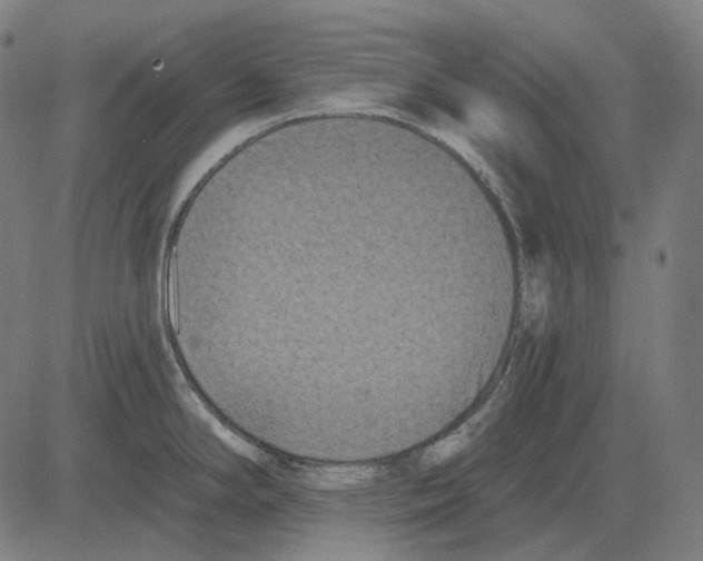 X0000081461294200702021758