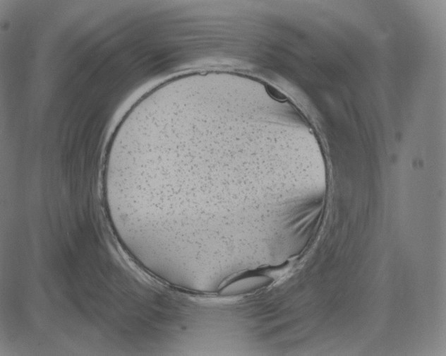 X0000081461296200702021758