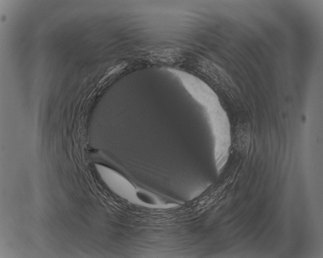 X0000081461297200702021757