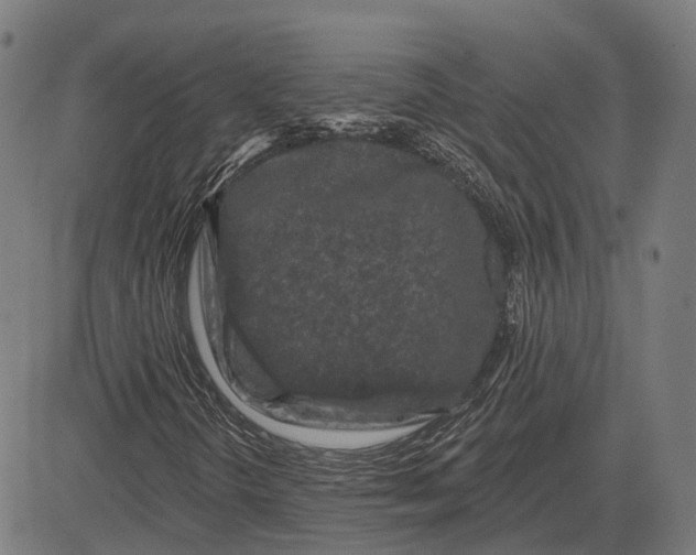 X0000081461298200702021757