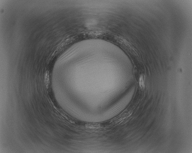 X0000081461299200702021757