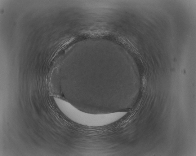 X0000081461300200702021757