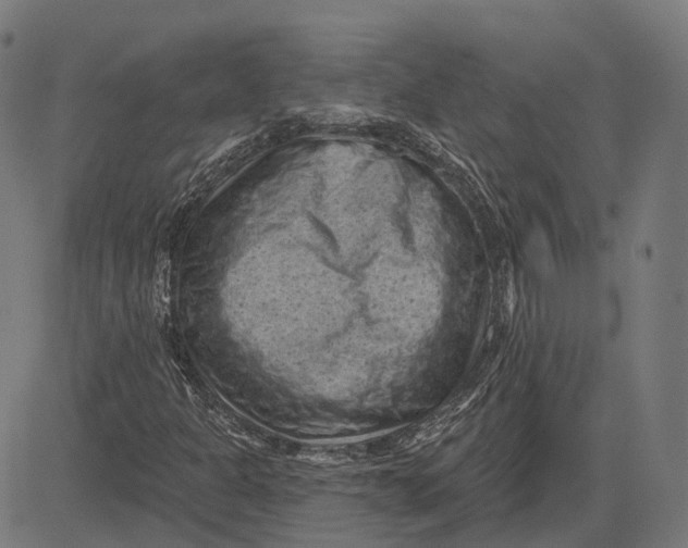 X0000081461301200702021757