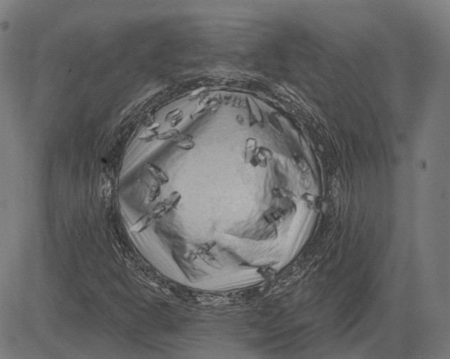 X0000081461302200702021757