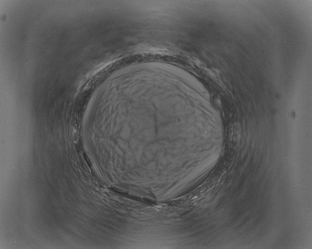 X0000081461303200702021757