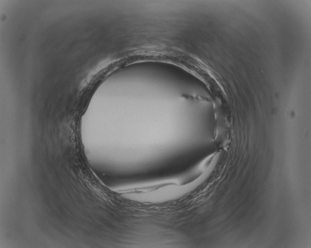 X0000081461304200702021757