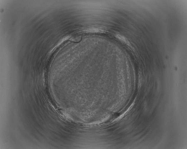 X0000081461305200702021757