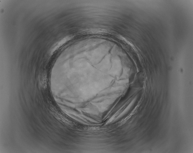 X0000081461306200702021757