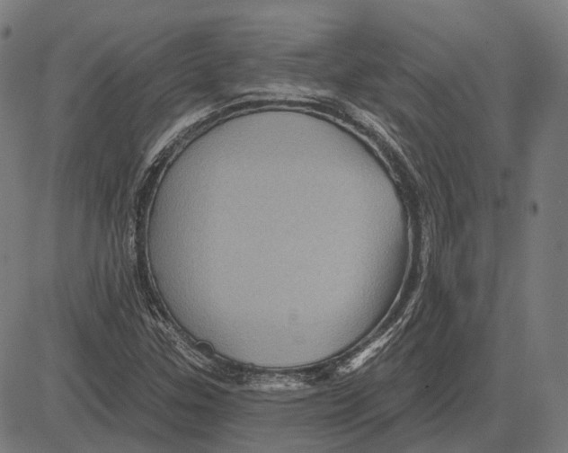 X0000081461307200702021757