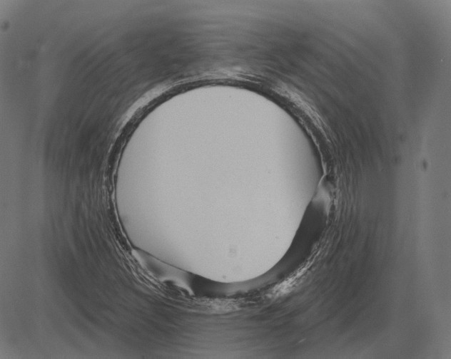 X0000081461308200702021757