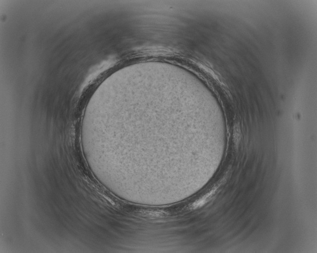 X0000081461309200702021757