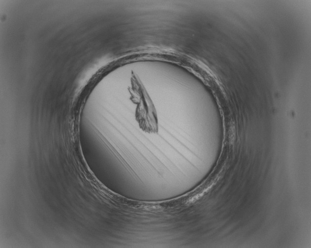 X0000081461310200702021757