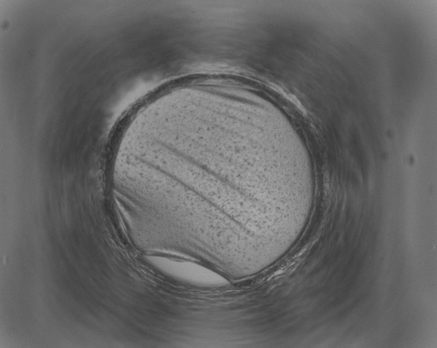 X0000081461311200702021757