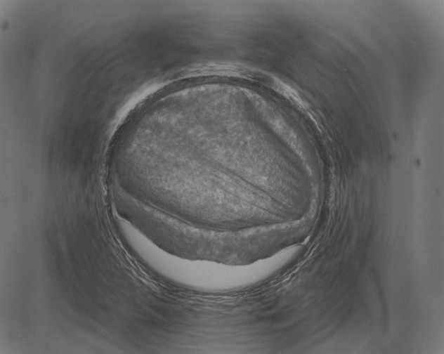 X0000081461312200702021757