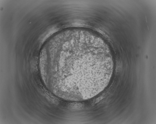 X0000081461314200702021757