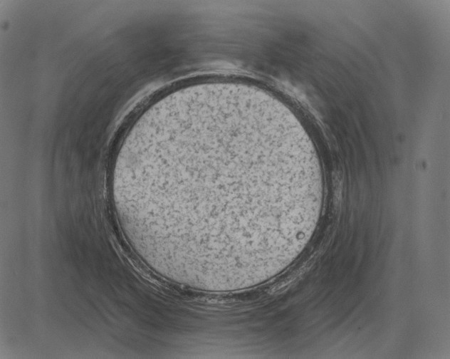 X0000081461318200702021757