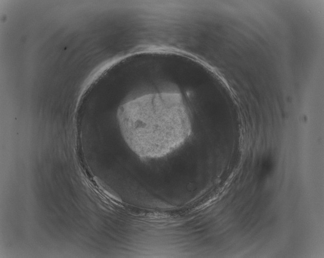 X0000081461319200702021757