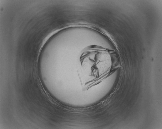 X0000081461320200702021757