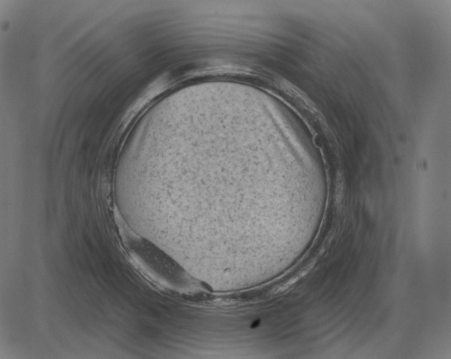 X0000081461321200702021757