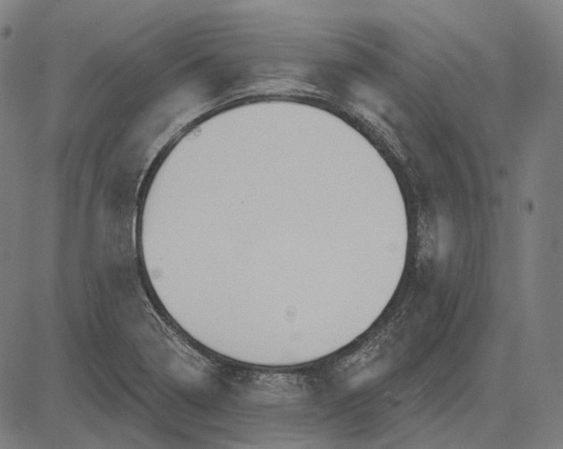 X0000081461322200702021757