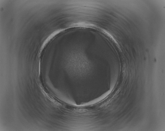 X0000081461323200702021757