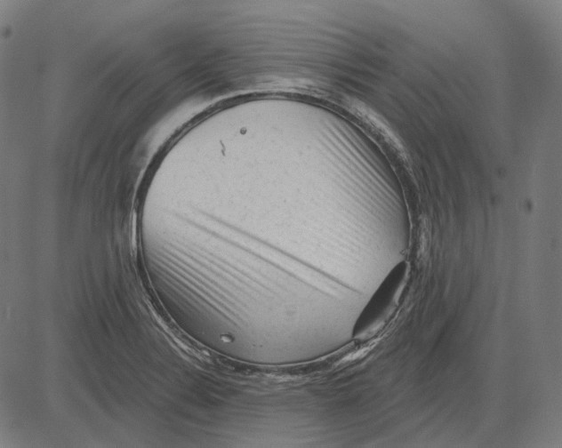 X0000081461324200702021757