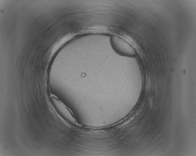 X0000081461325200702021758