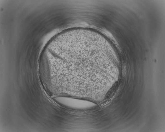 X0000081461326200702021758